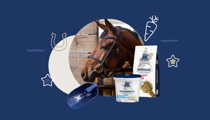 derby banner uebersicht sortiment